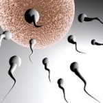 Infertilidad y acupuntura
