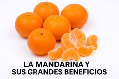 Mandarinas enteras y gajos pelados sobre fondo blanco con texto “LA MANDARINA Y SUS GRANDES BENEFICIOS”.