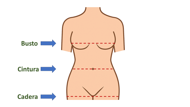 Esquema anatómico: mediciones de busto, cintura y cadera
