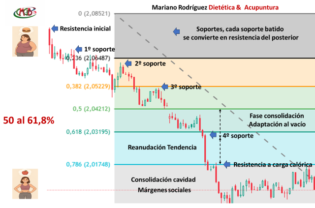 Gráfico conceptual de pérdida de peso con una tendencia bajista, una fase de consolidación a mitad del proceso y reanudación posterior del descenso.