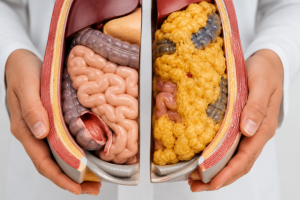 La adiponectina: cuando la grasa también protege tu salud